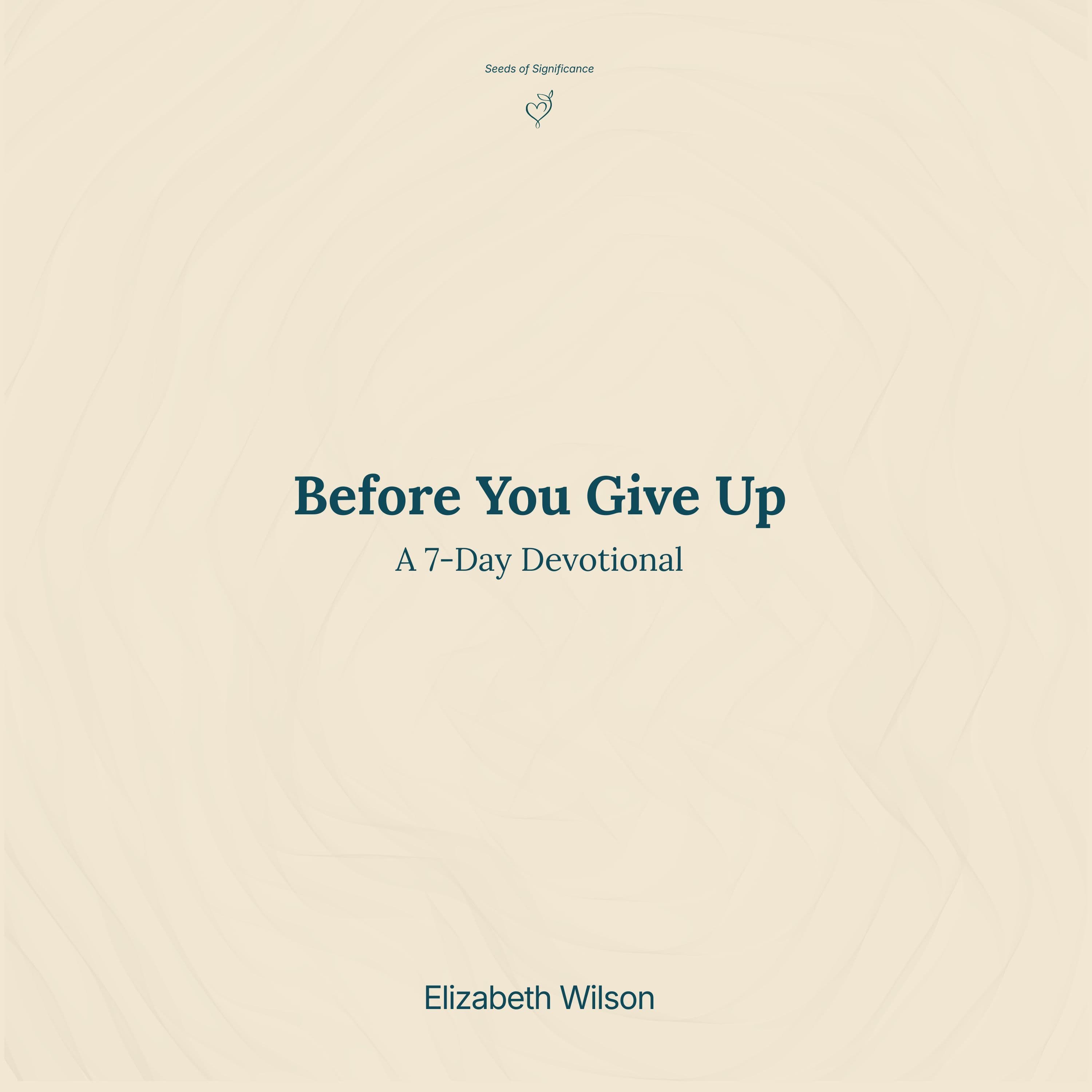 Before You Give Up Audiobook